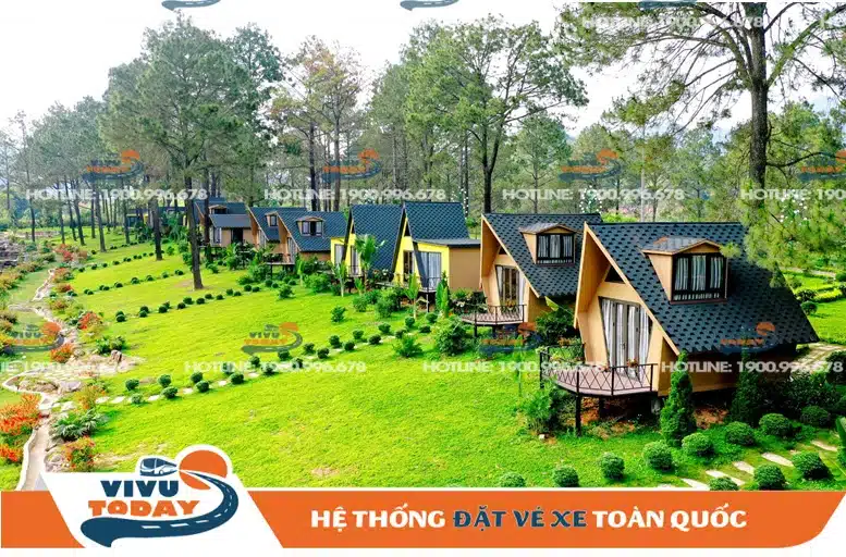 rugn-thong-ban-ang-moc-chau-son-la Rừng thông bản Áng Mộc Châu - Sơn La