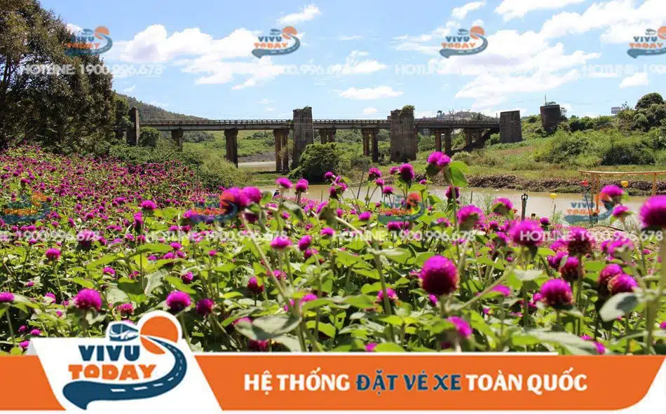 khu-du-lich-ben-xuan-duc-trong Vườn Bến Xuân