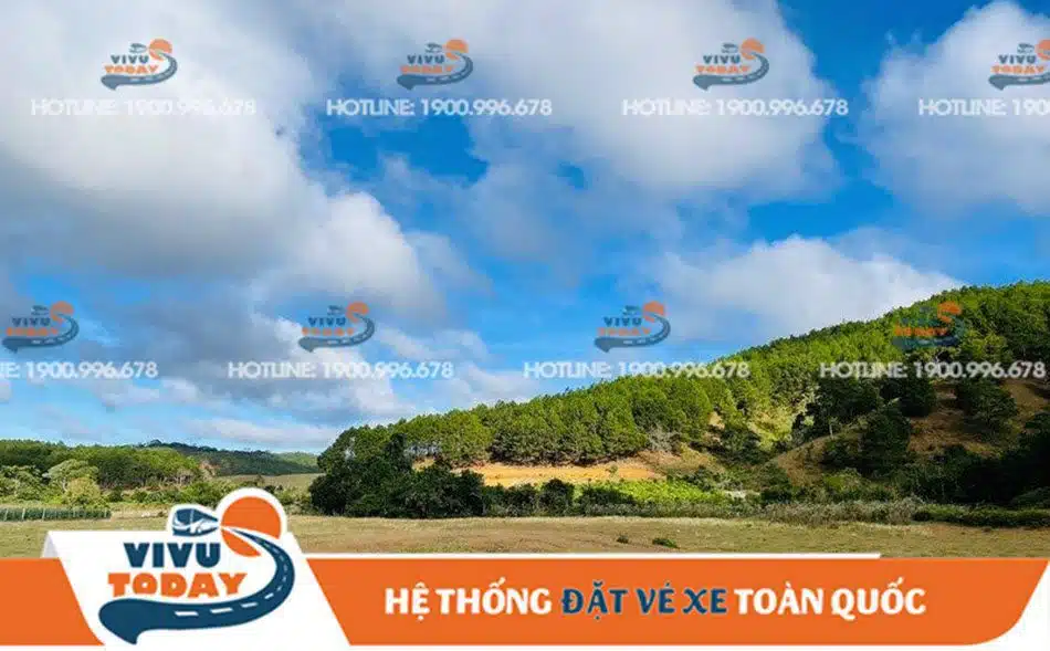 ta-nang-phan-dung-duc-trong Rừng thông