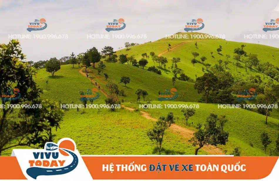 ta-nang-phan-dung-duc-trong Mùa cỏ xanh Tà Năng-Phan Dũng