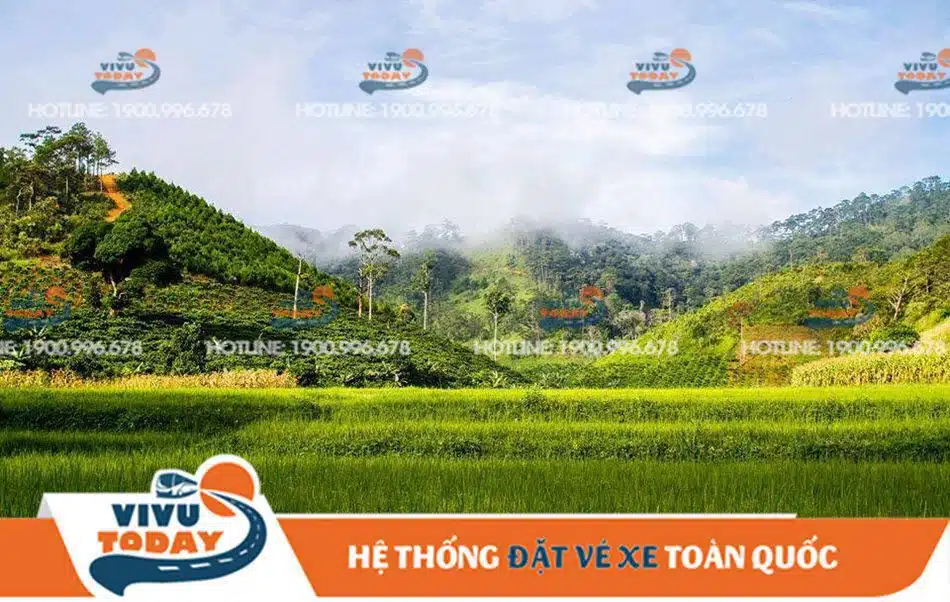 mua-co-xanh-ta-nang-phan-dung Mùa cỏ xanh Tà Năng-Phan Dũng