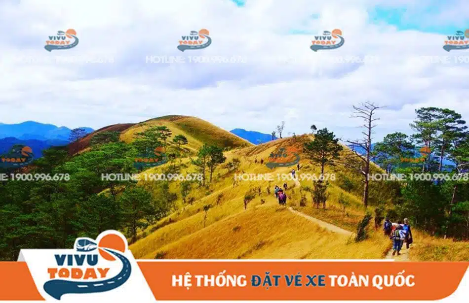 ta-nang-phan-dung-duc-trong Mùa cỏ cháy