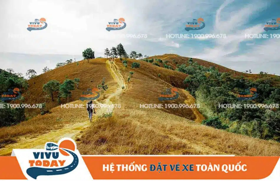 ta-nang-phan-dung-đuc-trong Mùa cỏ cháy