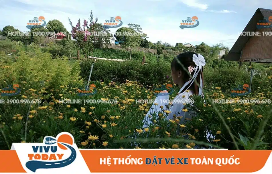 khu-du-lich-ben-xuan-duc-trong Hóa thân cổ trang