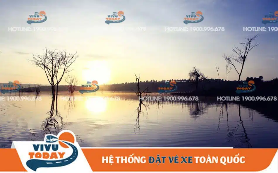 ho-dai-ninh-duc-trong Hồ Đại Ninh Đức Trọng