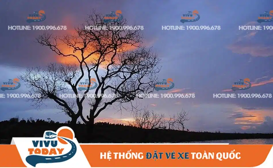 ho-dai-ninh-duc-trong Hồ Đại Ninh Đức Trọng