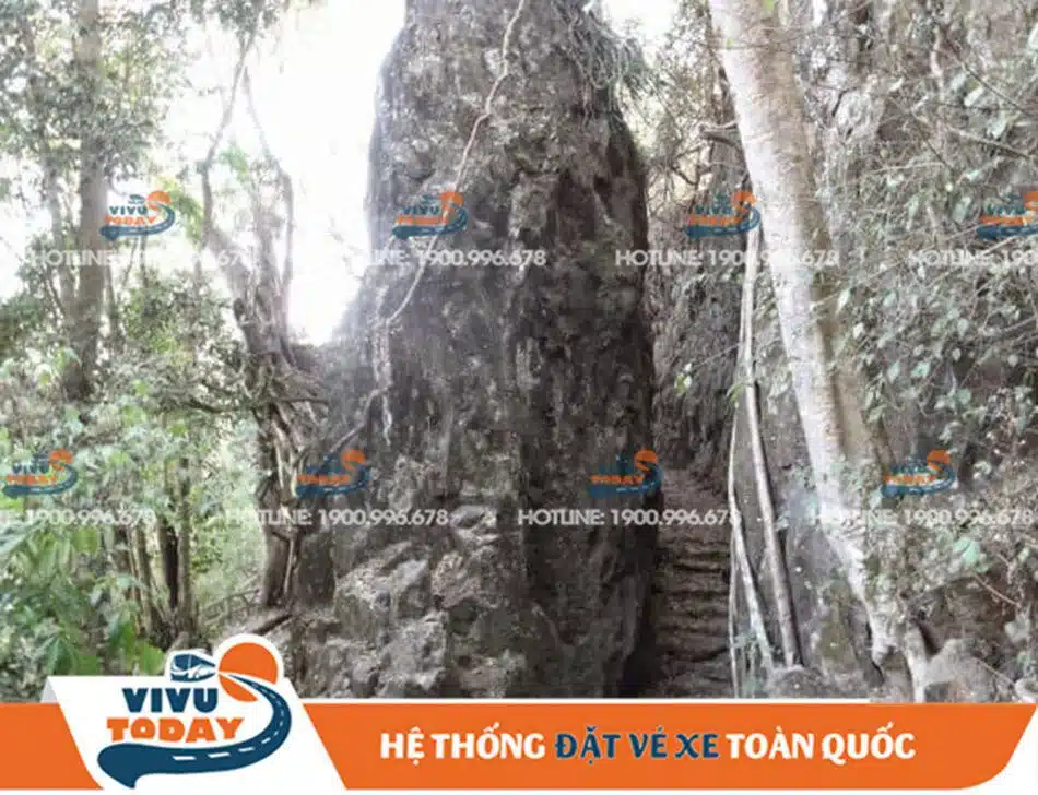 thac-bao-dai-duc-trong-lam-dong Đường xuống thác Bảo Đại