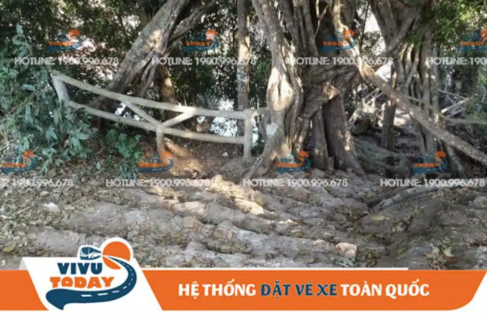 thac-bao-dai-duc-trong-lam-dong Đường xuống thác Bảo Đại