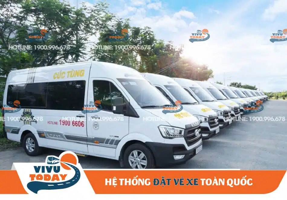 Xe Cúc Tùng