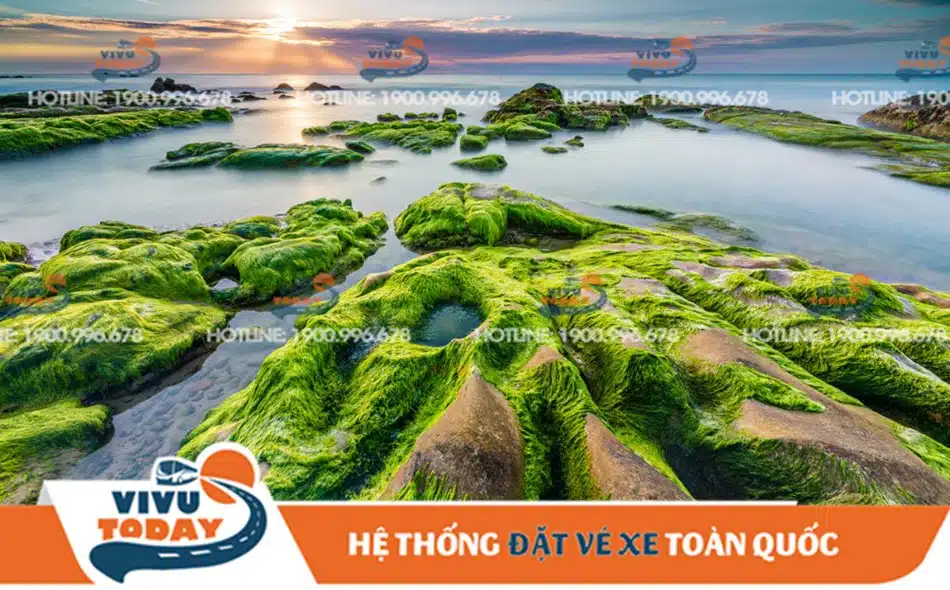 bien-co-thach-phan-thiet Khám phá nét đẹp hùng vĩ của biển Cổ Thạch - Phan Thiết