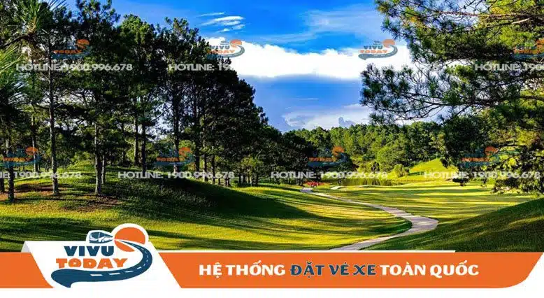 Rừng thông Đà Lạt