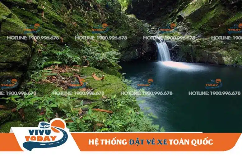 Vườn Quốc gia Bạch Mã - Thừa Thiên Huế
