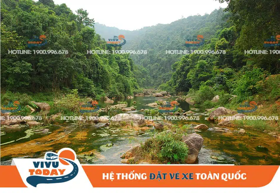 Khu rừng nguyên sinh Khe Rỗ - Bắc Giang
