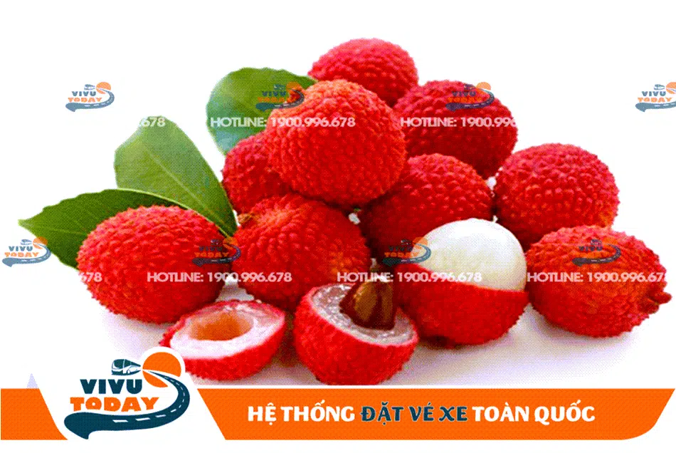 Đặc sản vải thiều Lục Ngạn - Bắc Giang