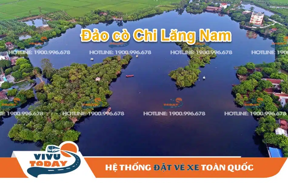Hình ảnh đảo cò Chi Lăng Nam Thanh Miện - Hải Dương