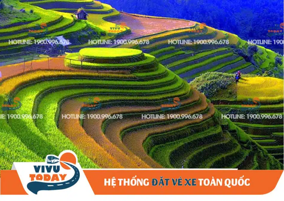 Vẻ đẹp của ruộng bậc thang Mù Cang Chải ở Yên Bái