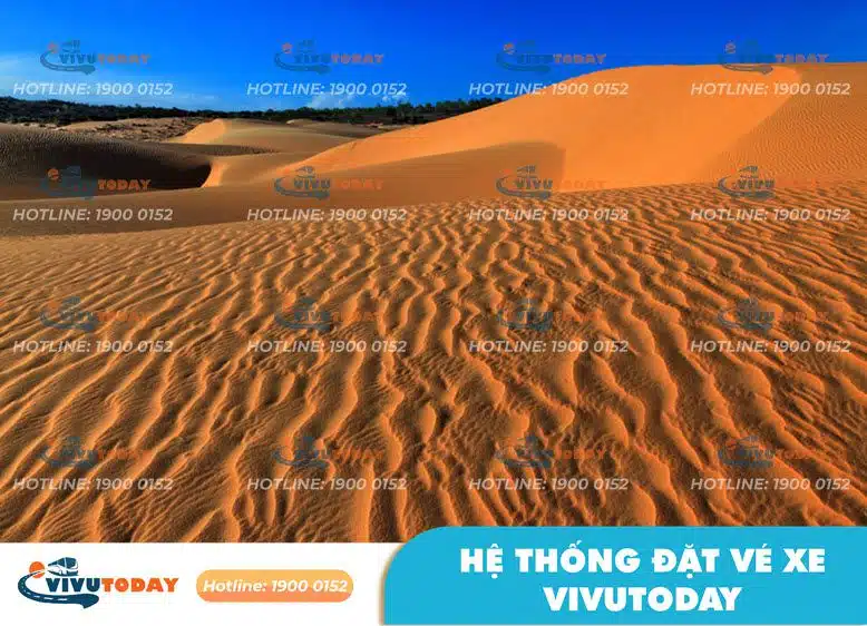 doi-cat-do-phan-thiet-binh-thuan Khám phá Đồi cát đỏ - Phan Thiết