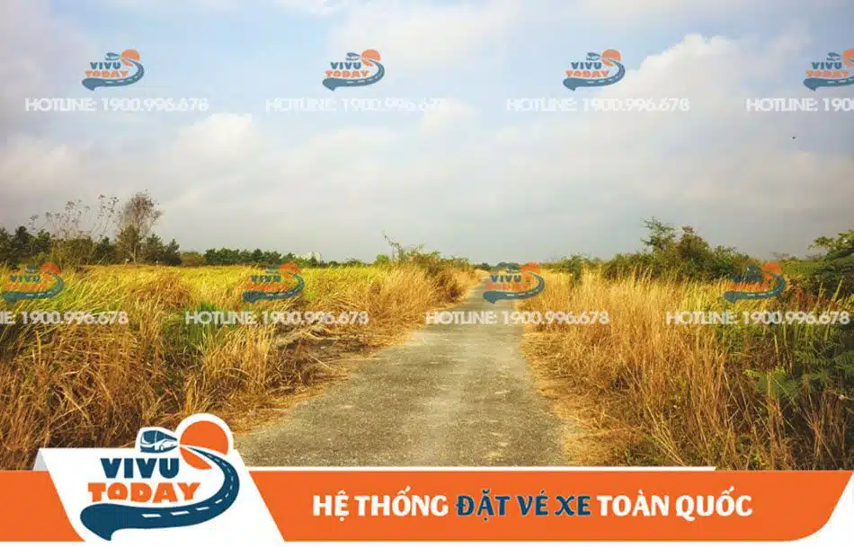 duong-den-canh-dong-co-lau-quan-2-sai-gon Đường đến cánh đồng cỏ lau quận 2 Sài Gòn