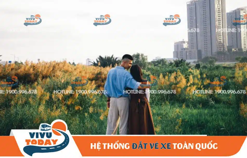 canh-dong-co-lau-quan-2-sai-gon Lưu giữ ký ức giữa cánh đồng cỏ lau