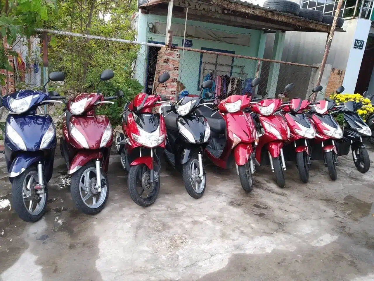 Thuê xe máy Thành Hải