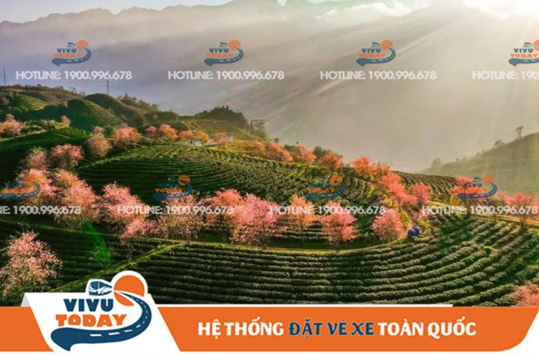 Nhà xe Sao Việt - Lịch trình, giá vé, số điện thoại, địa chỉ - ViVuToDay