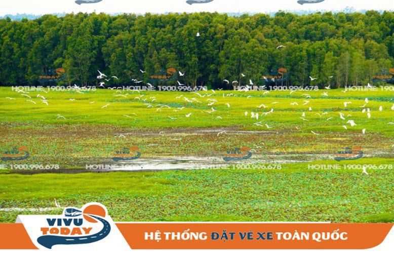 Vườn Quốc gia Tràm Chim - Đồng Tháp