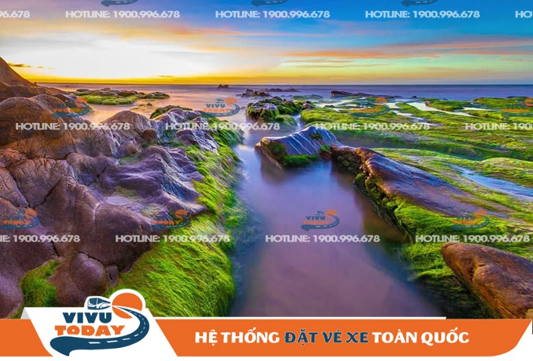 bien-co-thach-binh-thuan Biển Cổ Thạch ở Bình Thuận
