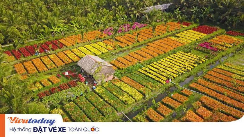 Trăm hoa đua sắc ở Làng Hoa Cái Mơn - Bến Tre