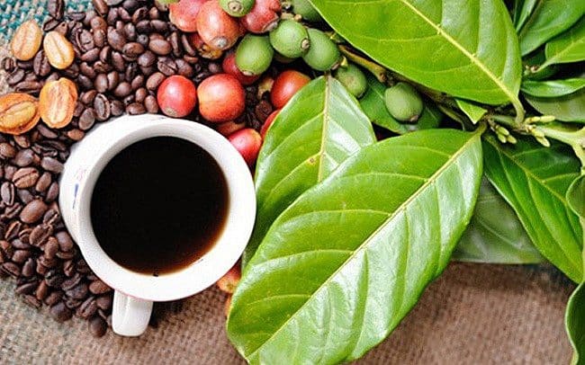 du lịch buôn mê thuột