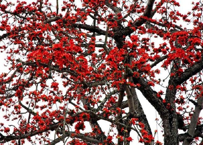 du lịch buôn mê thuột