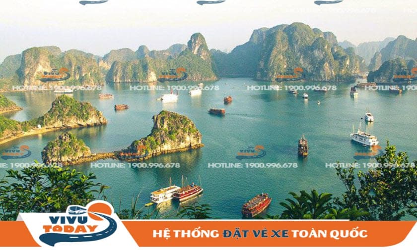 Hạ Long Travel Limousine - Giá vé xe tuyến Hà Nội Quảng Ninh