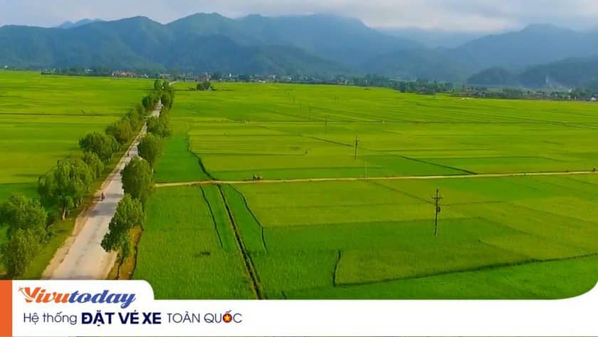 Cánh đồng bất tận Mường Thanh