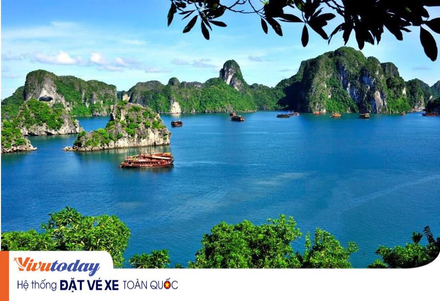 Vẻ đẹp của Vịnh Hạ Long từ mọi hướng