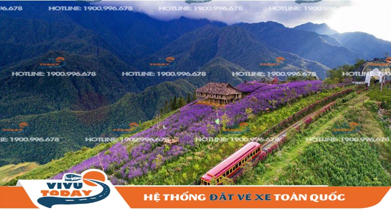Vẻ đẹp Thung lũng Hoa Hồng - Lào Cai