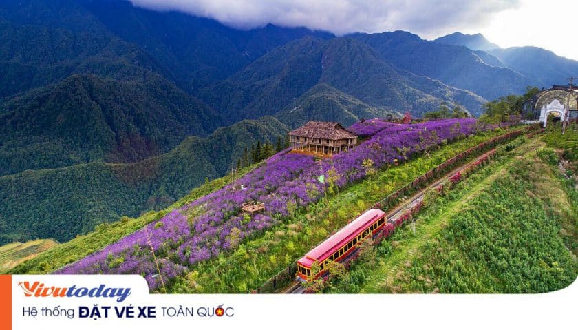 Vẻ đẹp Thung lũng Hoa Hồng - Lào Cai