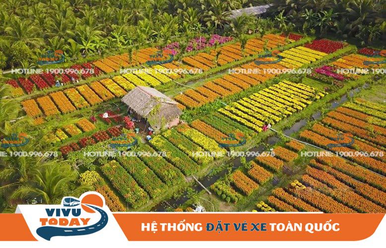 Làng hoa Cái Mơn tỉnh Bến Tre