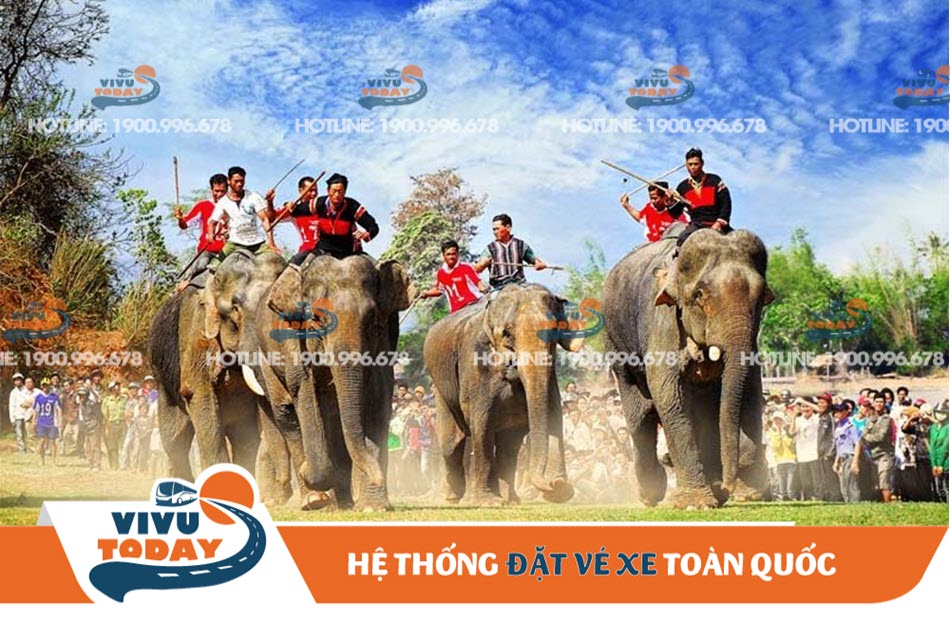 Không khí nhộn nhịp của Lễ hội đua voi Bản Đôn - Đắk Lắk