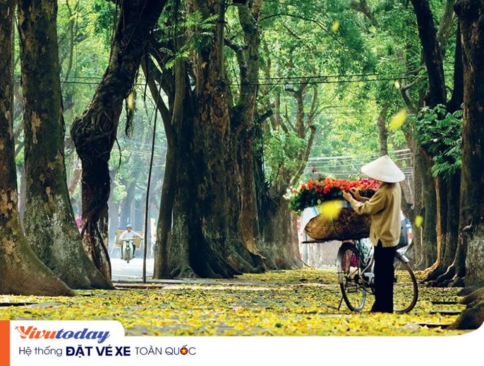 mua-thu-ha-noi Mùa thu Hà Nội