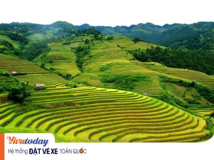 Quang cảnh của cánh đồng Mường Thanh