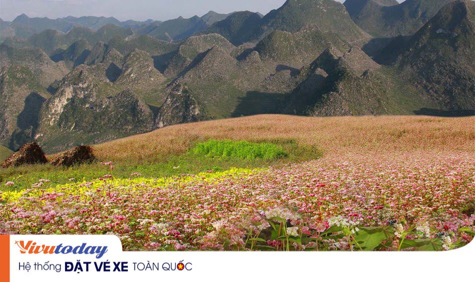 Cảnh đẹp Hà Giang như mời gọi du khách gần xa