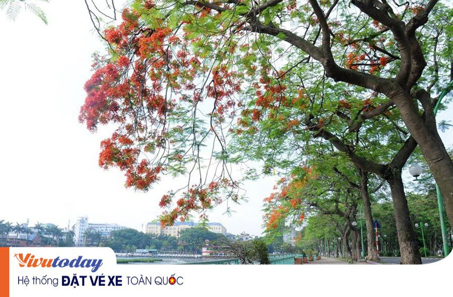 Một thoáng Hồ Tây - Hà Nội