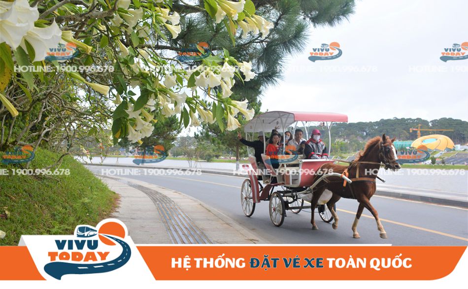 Hoạt động đi xe ngựa dạo quanh hồ Xuân Hương