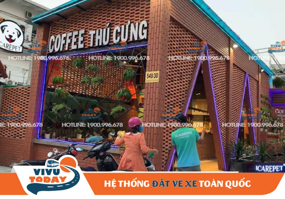 Quán cafe IcarePet Coffee & Tea - Sài Gòn