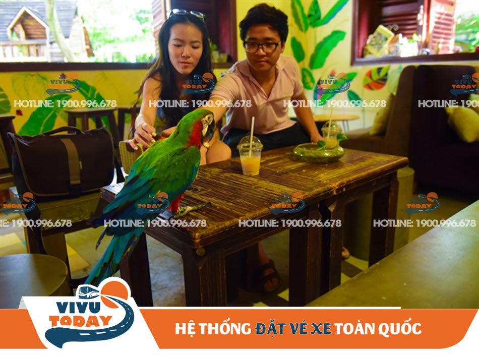 Những chú vẹt đáng yêu tại quán cafe thú cưng Pet Me - Sài Gòn