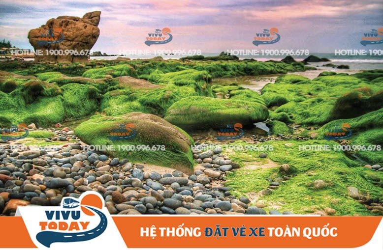 Biển Cổ Thạch Bình Thuận