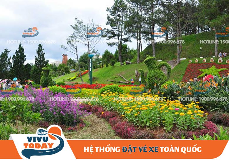 Khám phá cảnh đẹp tại Vườn hoa ở Tp Đà Lạt - Lâm Đồng