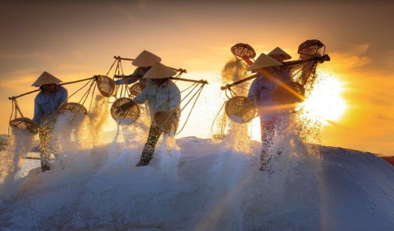 Cánh đồng muối Đầm Vua