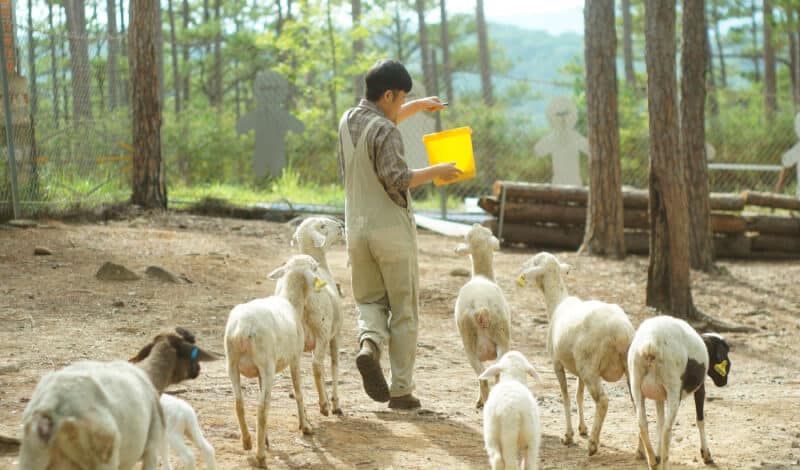 Sở thú Zoodoo