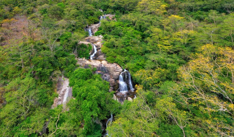 Vườn Quốc gia Núi Chúa