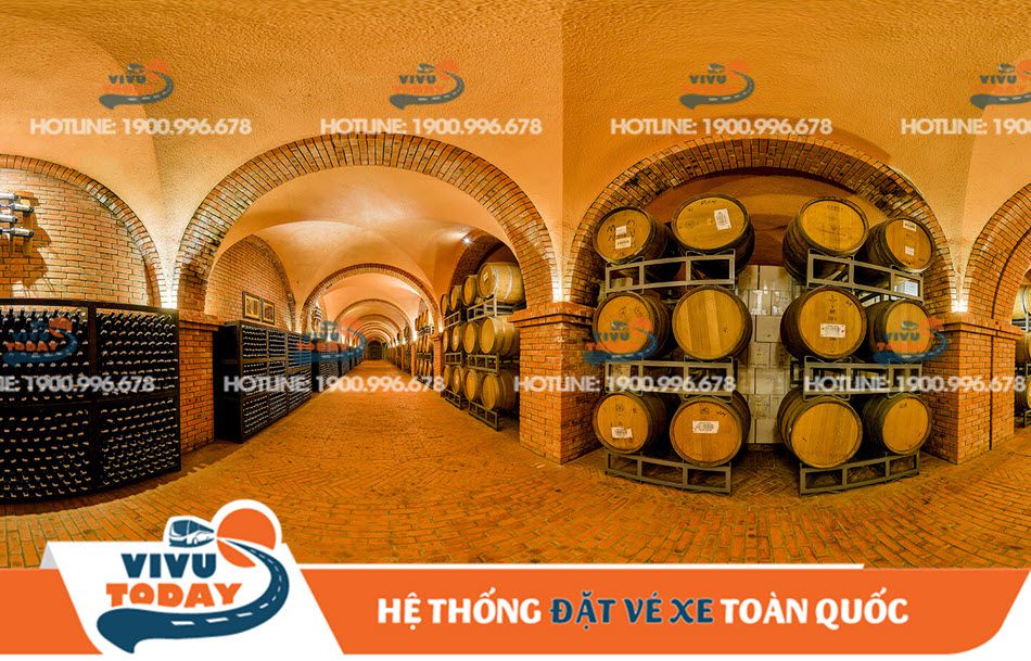 Hầm rượu vang Phan Thiết